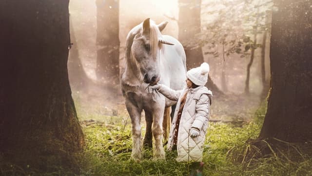 Tale of the Forest Unicorn