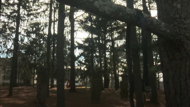 escape