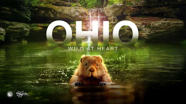 Ohio: Wild at Heart