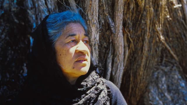 Mauri