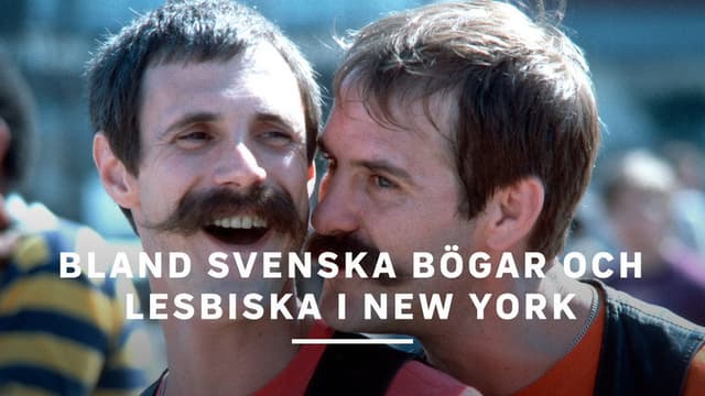 Bland svenska bögar och lesbiska i New York