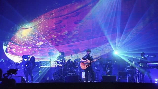SAKANAQUARIUM 2013 sakanaction -LIVE at MAKUHARI MESSE 2013.5.19-