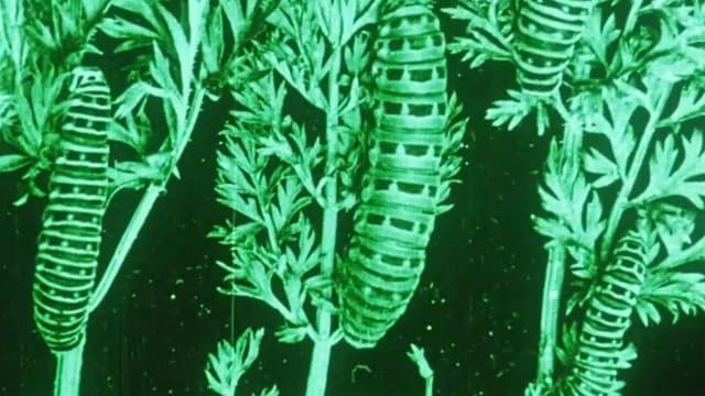 Water, Klimaat en Film