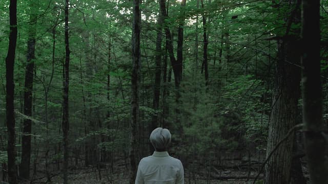 Ryuichi Sakamoto: CODA