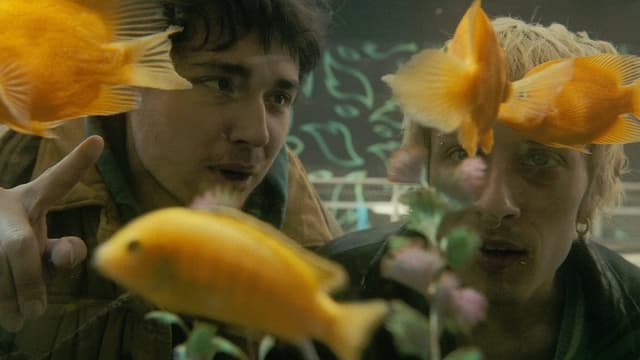 Ilya & Zakhar: Maslenitsa at the Limit
