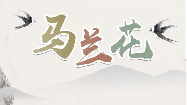马兰花