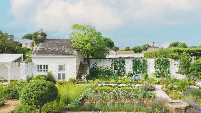The Garden Chronicles