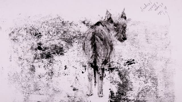 decay