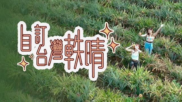 自訂台灣軼晴