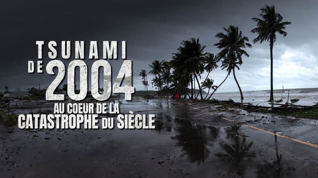 Tsunami 2004 : ils ont filmé la catastrophe du siècle