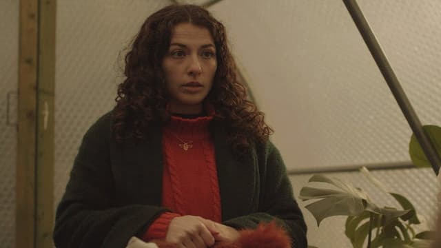 Singulars