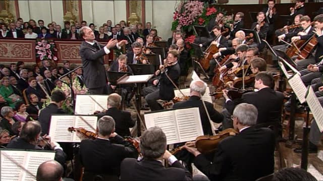 New Year's Concert: 2001 - Vienna Philharmonic