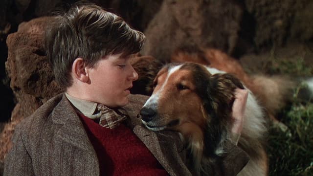 Lassie Come Home
