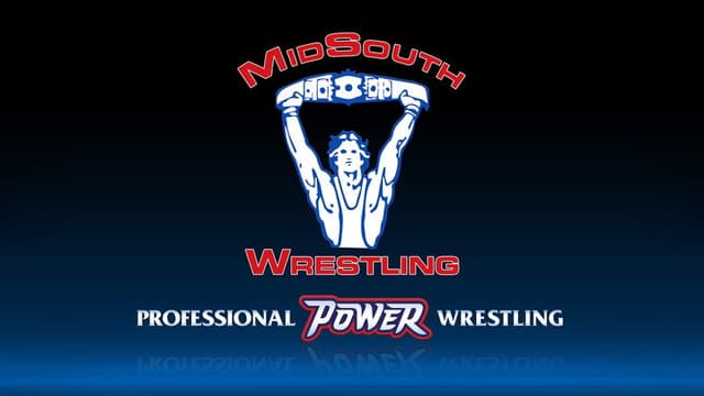 Power Pro Wrestling