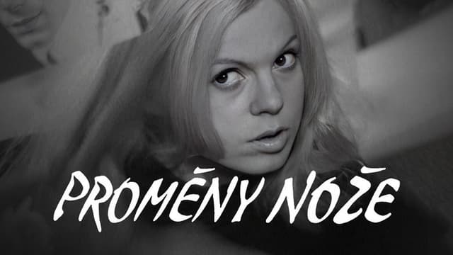 Proměny nože