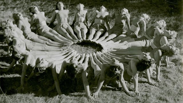 Females At Play