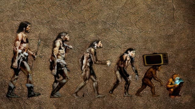Humaniforms