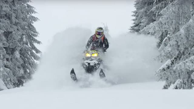 Exploring The Snow - The Final Volume