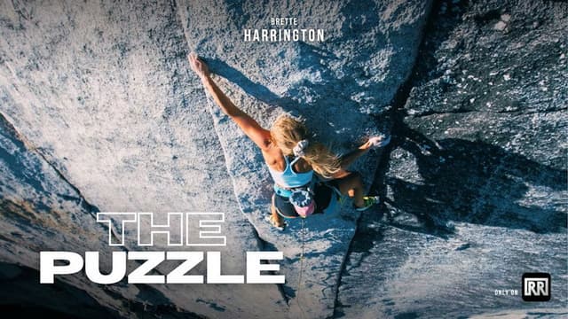 The Puzzle
