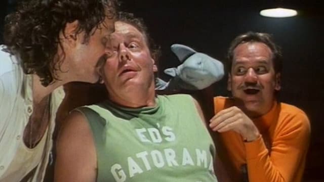 Two Idiots in Hollywood
